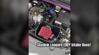 GAC ট্রাম্পচি শ্যাডো লেপার্ড 1.5T